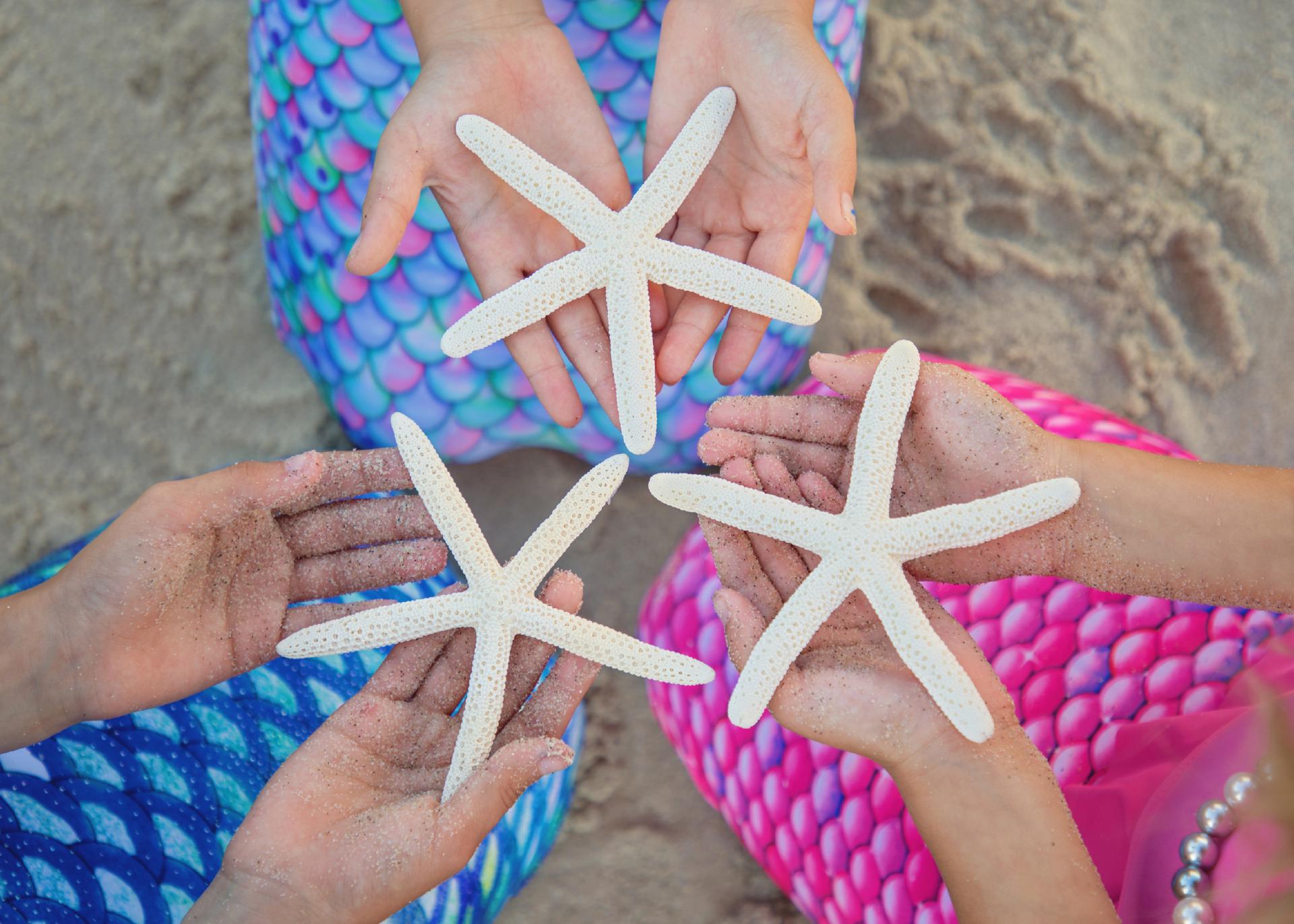 Three mermaids holding starfishes